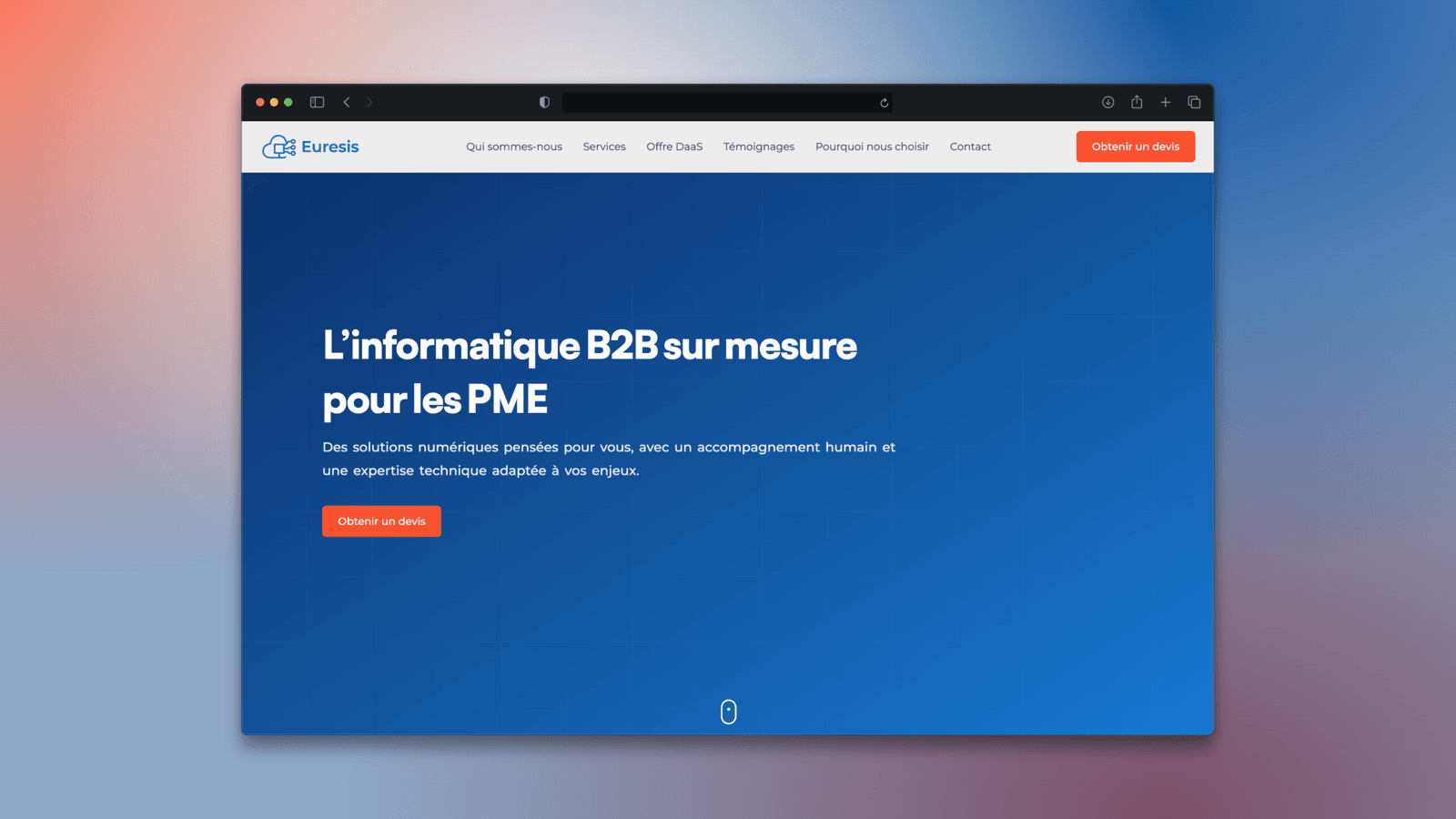 Website for Euresis